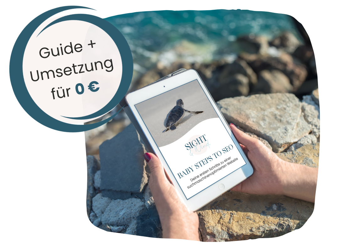 Mockup Baby Steps to SEO Guide