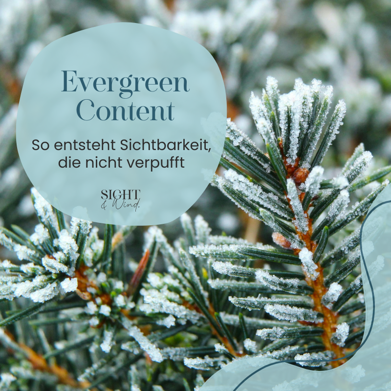 Titelbild für Blogartikel über Evergreen Content, mit schneebedeckten, immergrünen Zweigen.